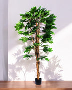 MAPLE TREE 180cm 19570(b)
