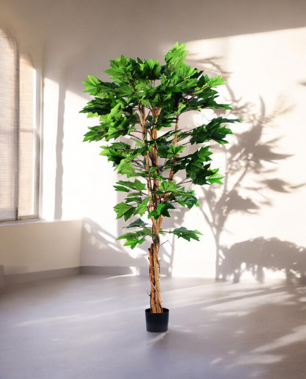 MAPLE TREE 180cm 19570(c) (3)