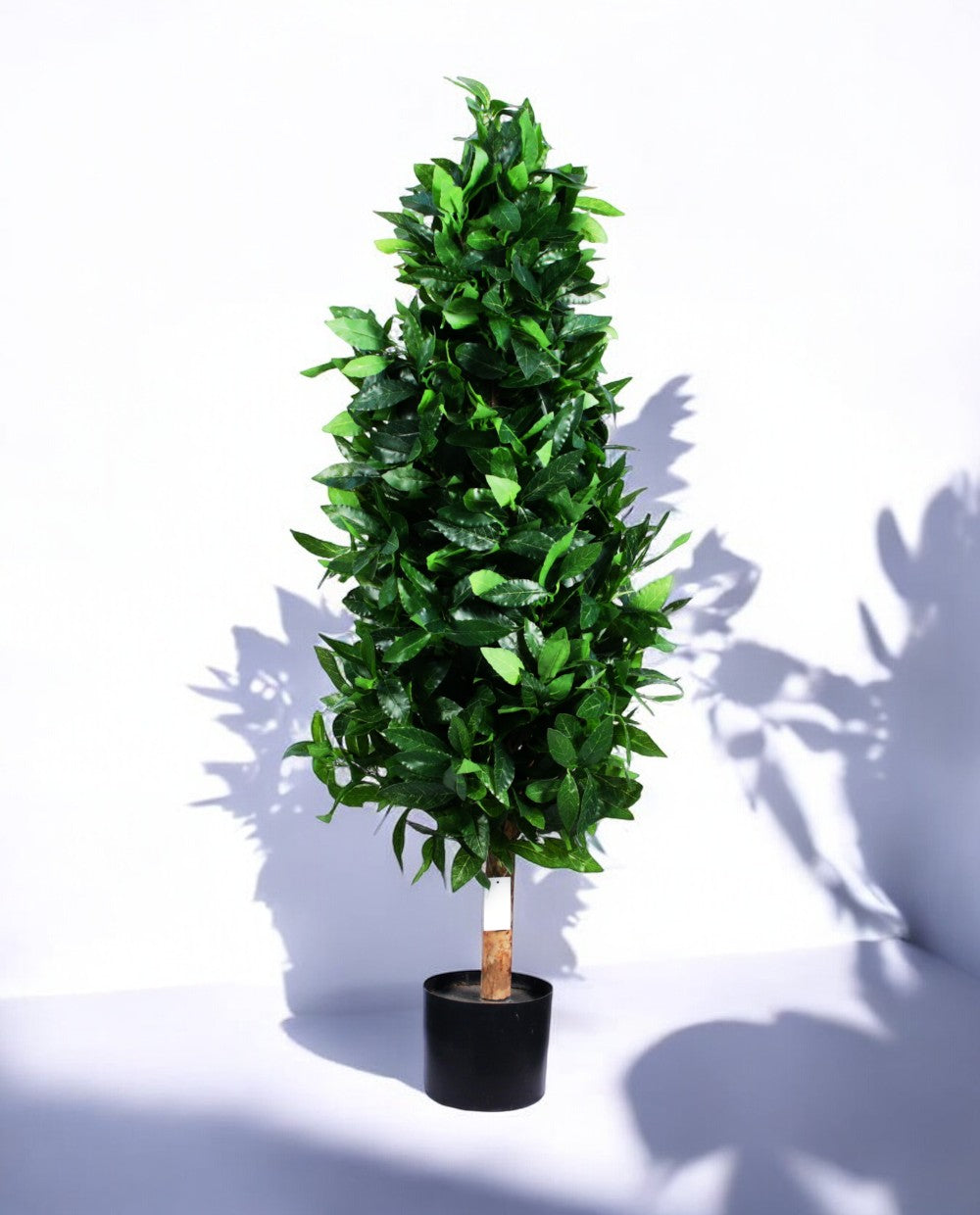 LAUREL TREE 120cm 18330(a) (2)