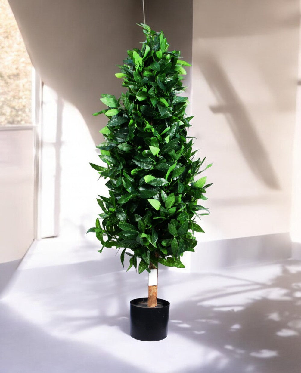 LAUREL TREE 120cm 18330(a) (3)