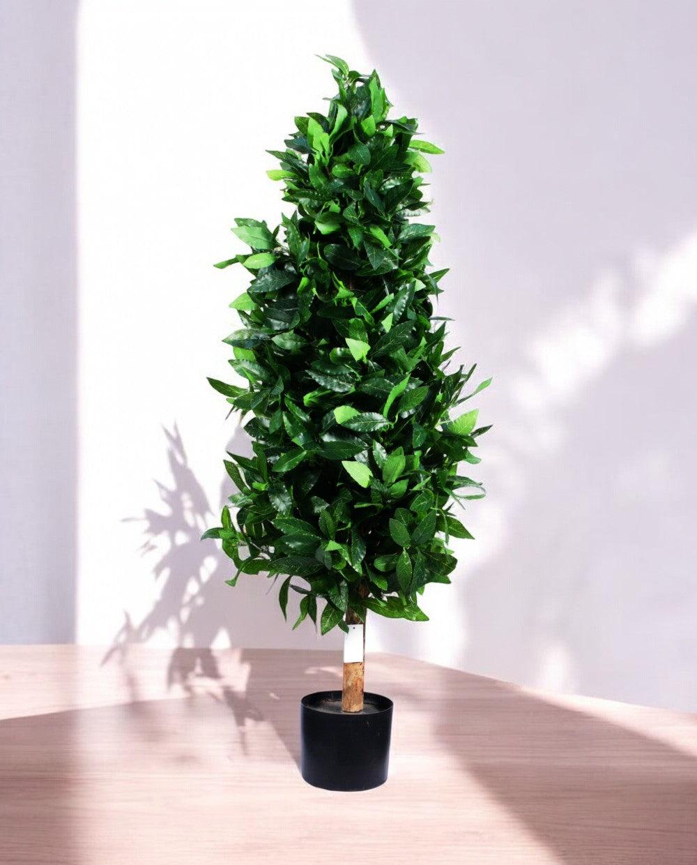 LAUREL TREE 120cm 18330(a)