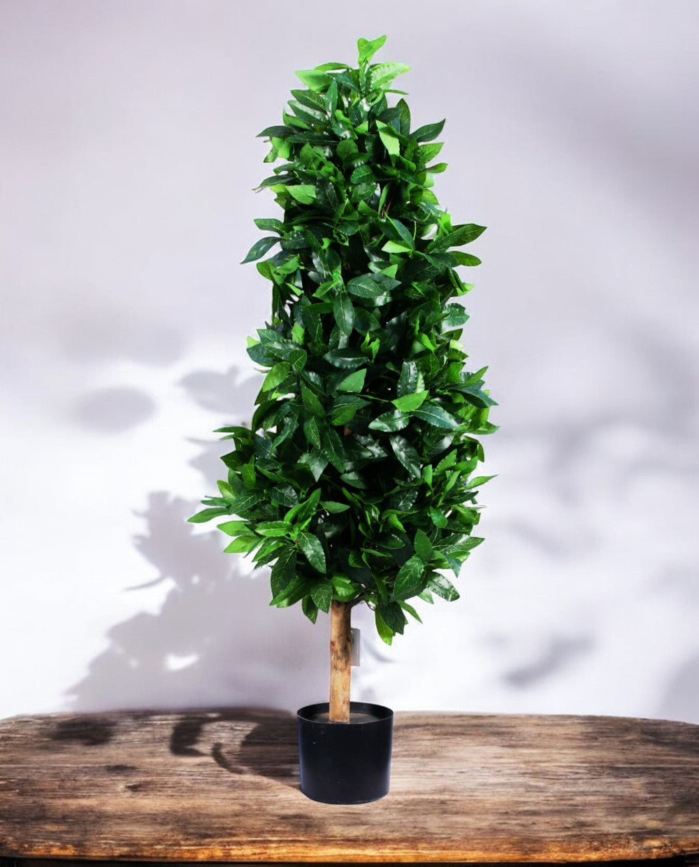 LAUREL TREE 120cm 18330(b)
