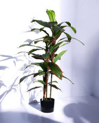 DRACAENA TREE 120cm 19521(a) (2)