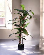 DRACAENA TREE 120cm 19521(a) (3)