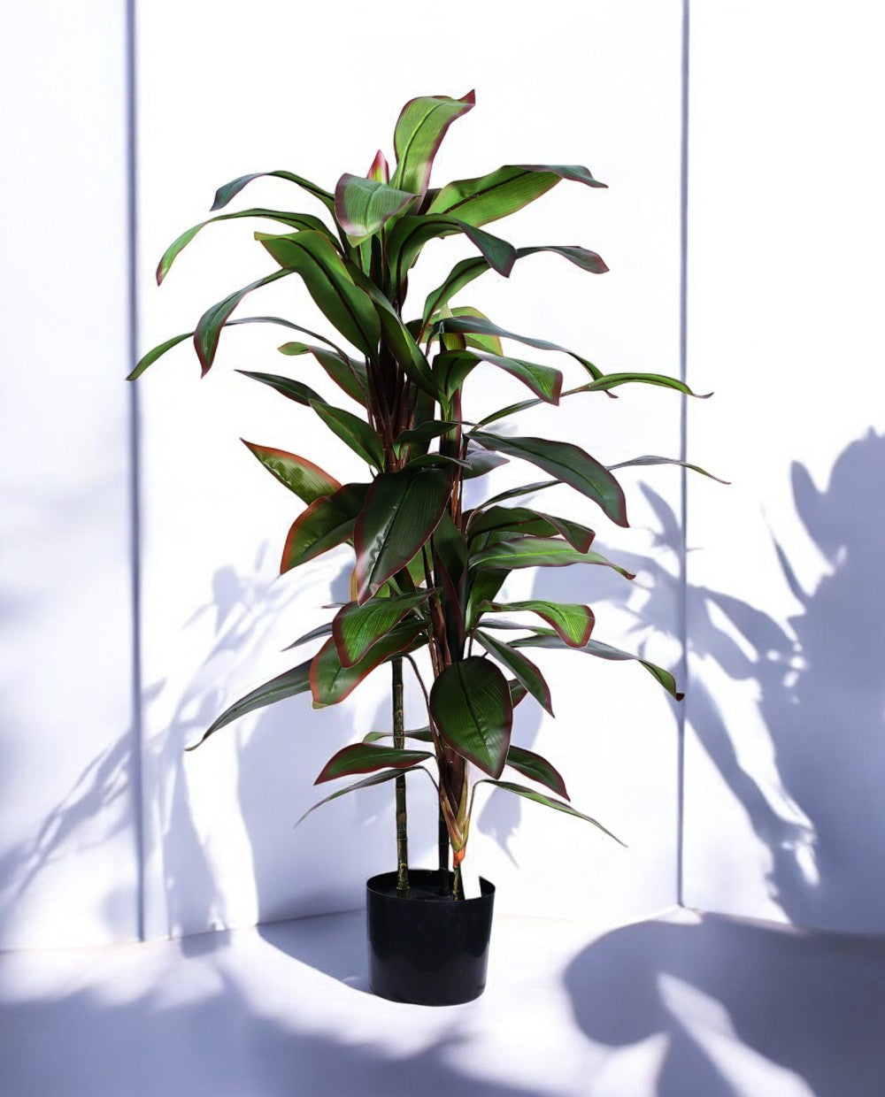 DRACAENA TREE 120cm 19521(b) (2)