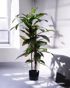DRACAENA TREE 120cm 19521(b) (3)