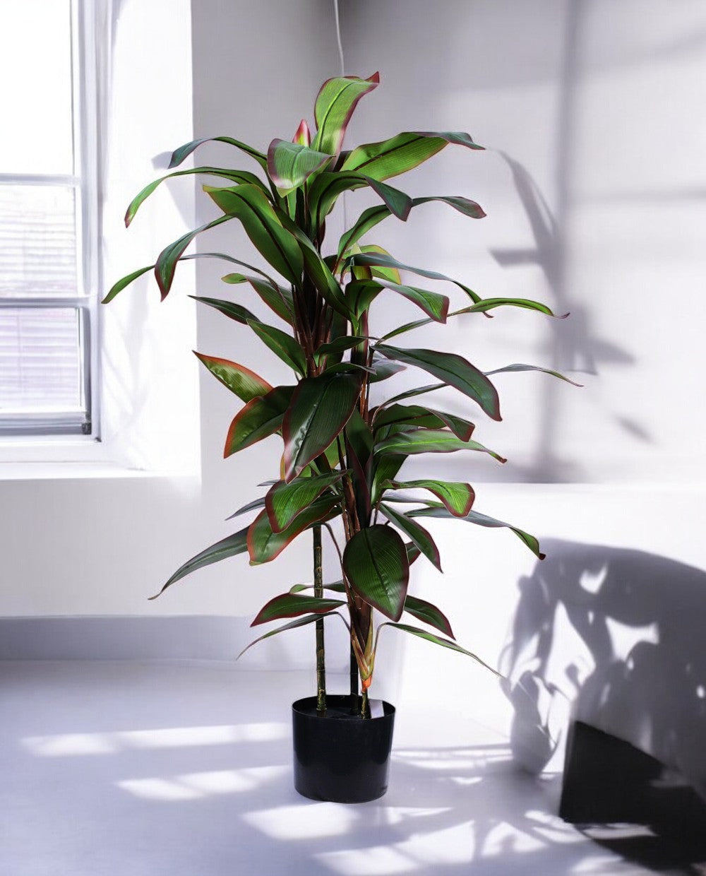 DRACAENA TREE 120cm 19521(b) (3)