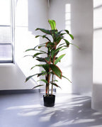 DRACAENA TREE 120cm 19521(c) (3)