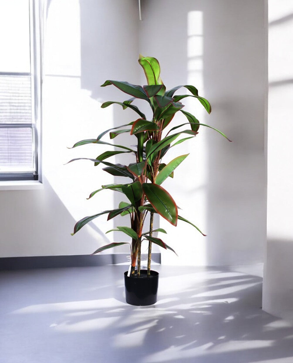DRACAENA TREE 120cm 19521(c) (3)