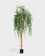 WILLOW TREE 180cm 19338(a) (3)