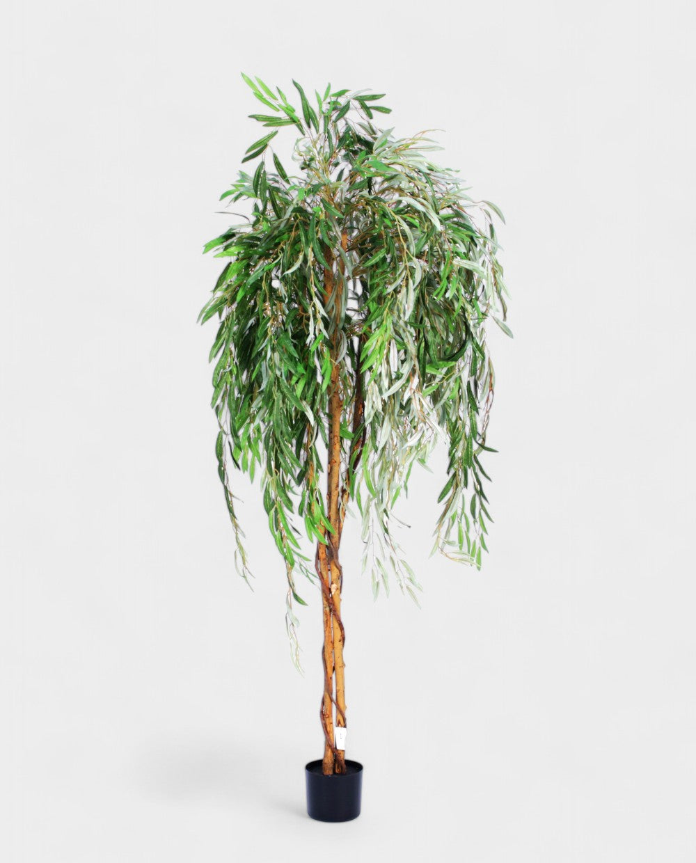 WILLOW TREE 180cm 19338(a) (3)