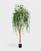 WILLOW TREE 180cm 19338(b) (3)