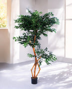 FICUS S-SHAPED 180cm 18203(a) (3)