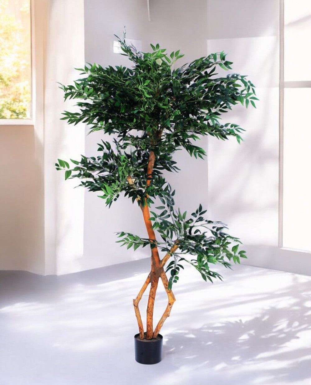 FICUS S-SHAPED 180cm 18203(a) (3)