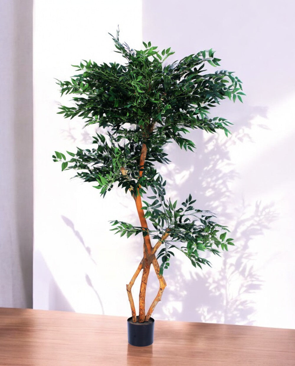 FICUS S-SHAPED 180cm 18203(a)