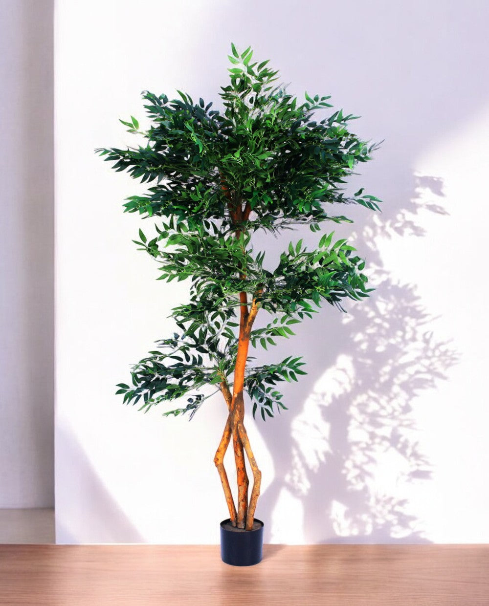 FICUS S-SHAPED 180cm 18203(b)
