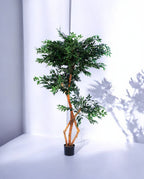 FICUS S-SHAPED 180cm 18203(c) (2)