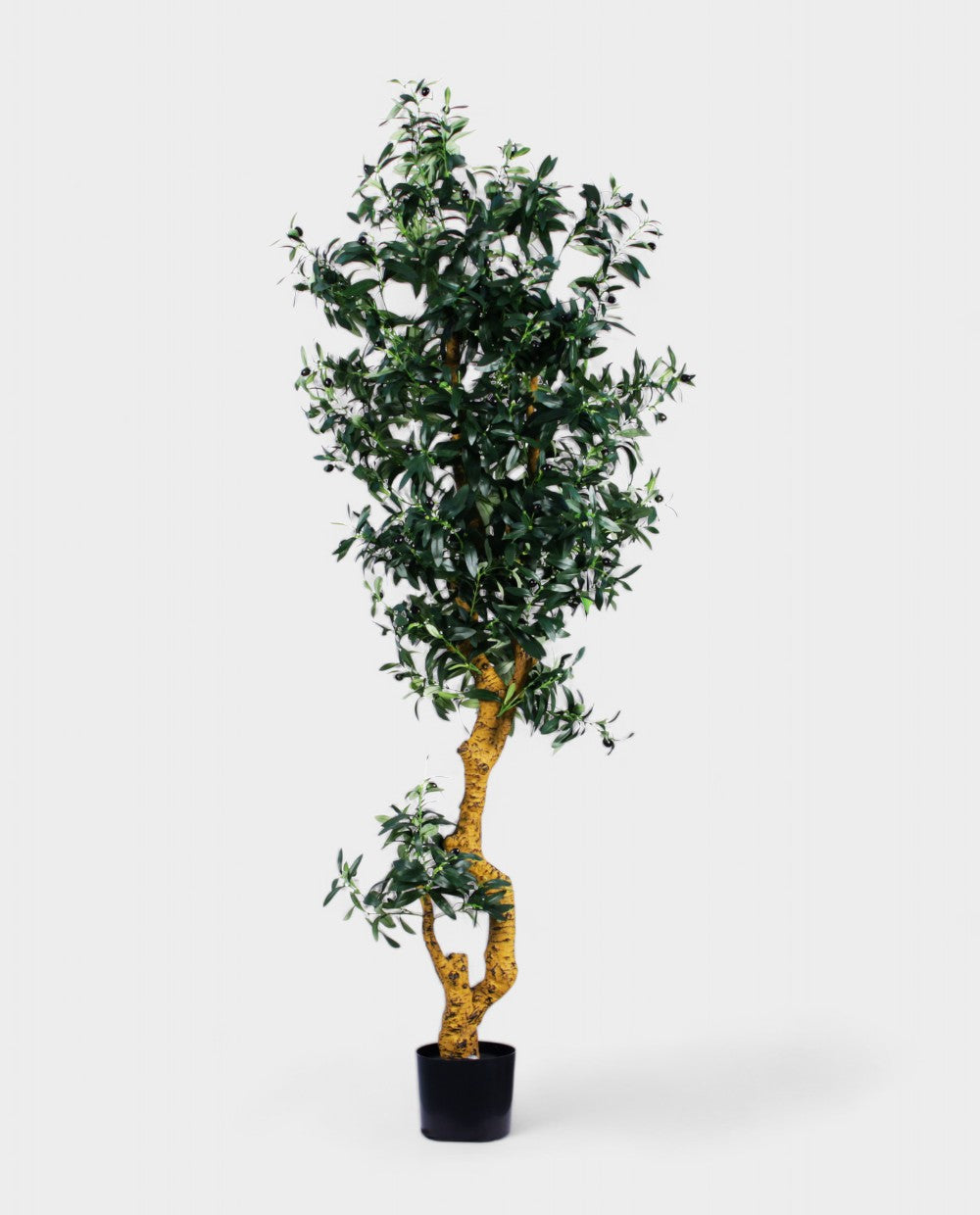 OLIVE TREE 180cm 18049(a) (3)