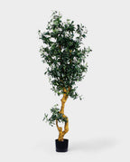 OLIVE TREE 180cm 18049(a) (3)