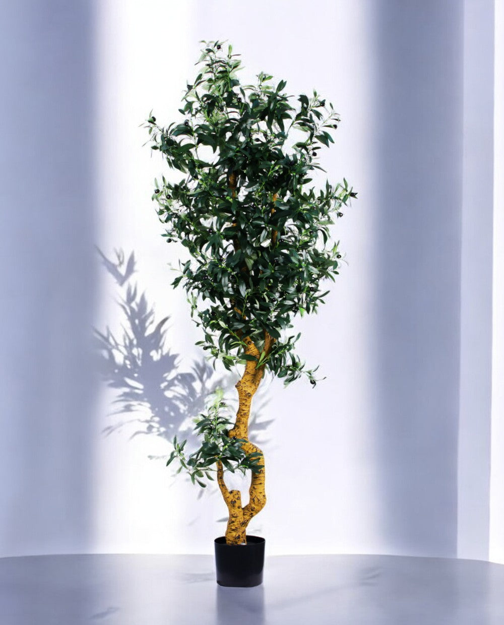 OLIVE TREE 180cm 18049(a)