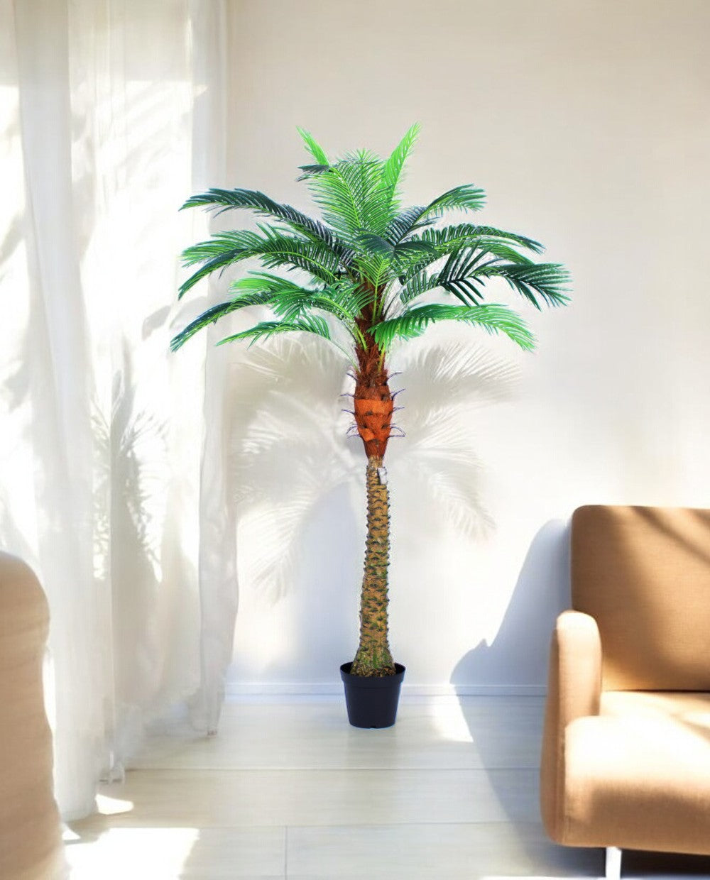 PHOENIX PALM (one trunk)-03 (2)