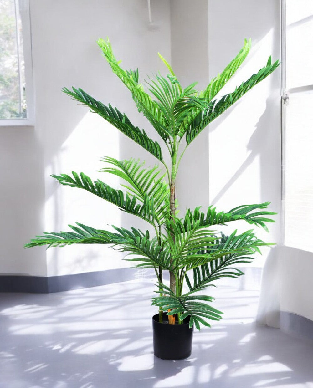 ARECA PALM 90cm AR90(a) (3)