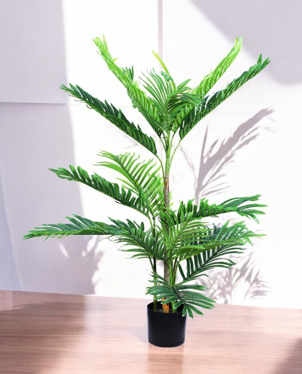 ARECA PALM 90cm AR90(a)