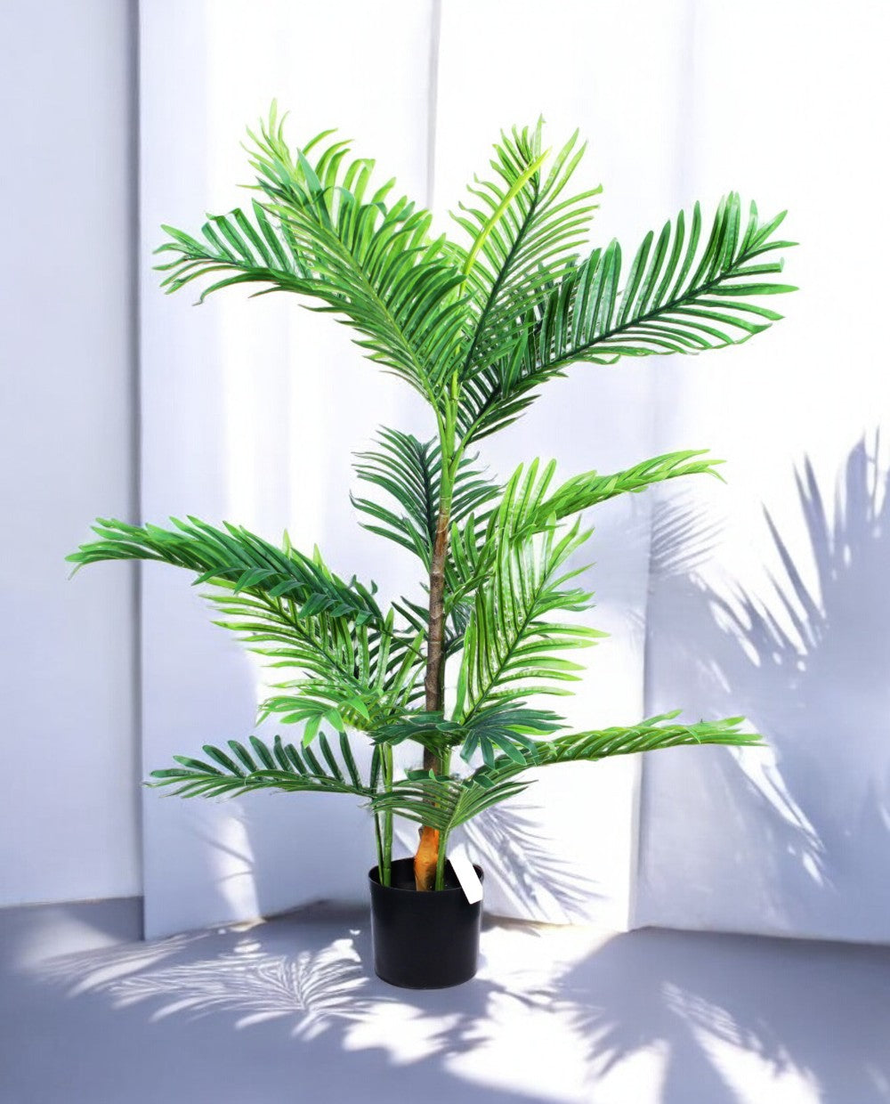 ARECA PALM 90cm AR90(b) (2)