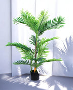 ARECA PALM 90cm AR90(b) (2)