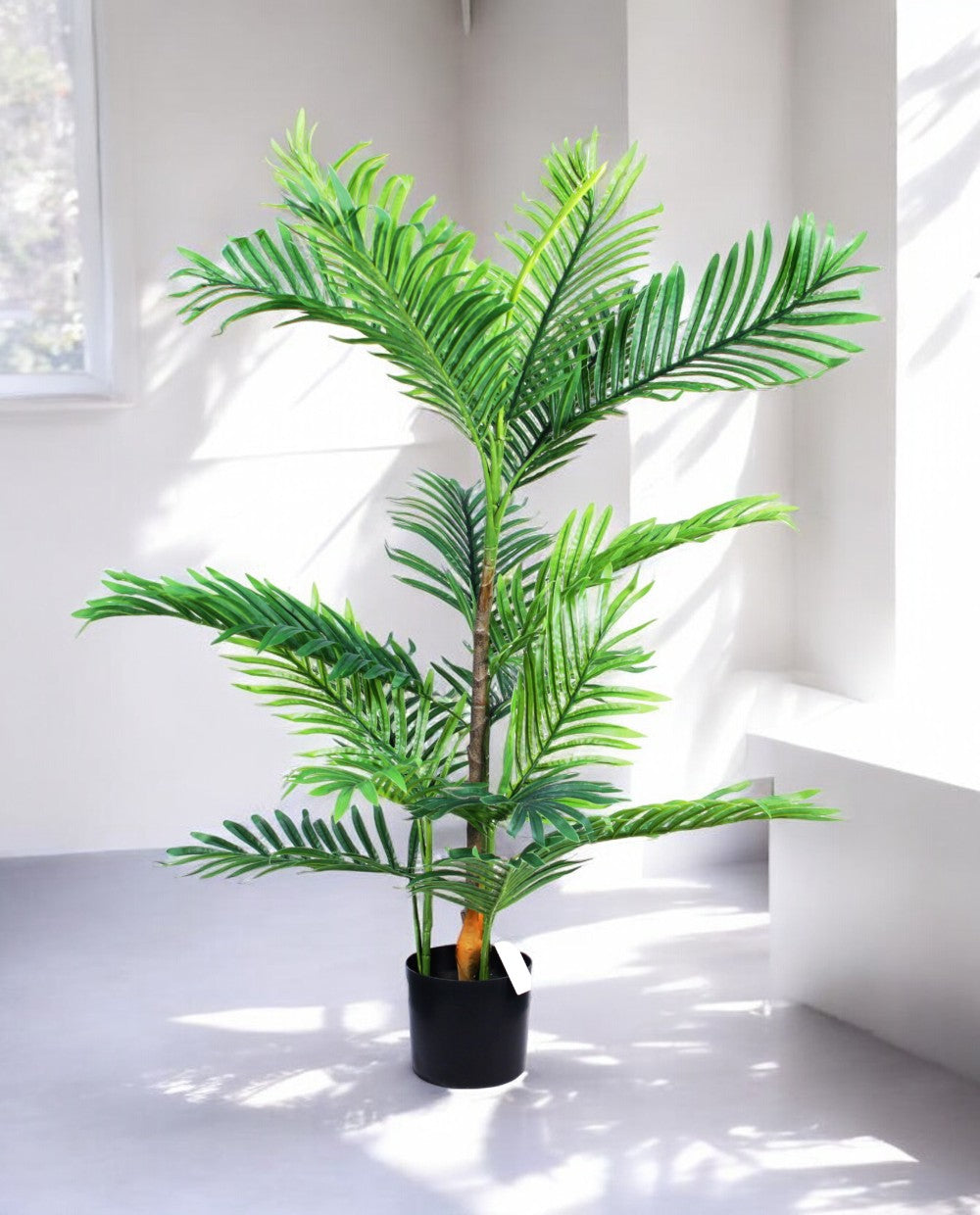 ARECA PALM 90cm AR90(b) (3)