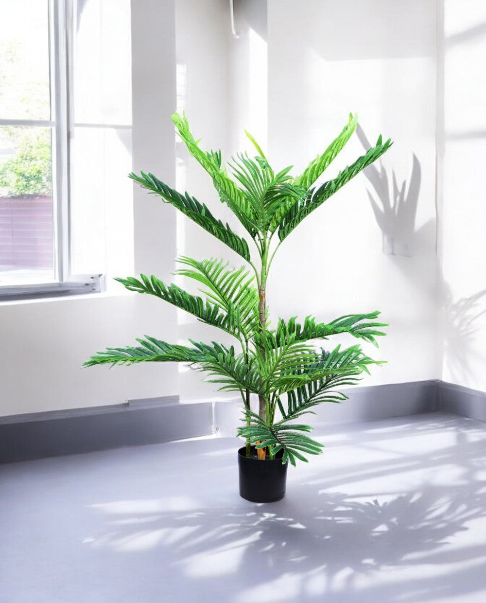 ARECA PALM 90cm AR90(c) (3)