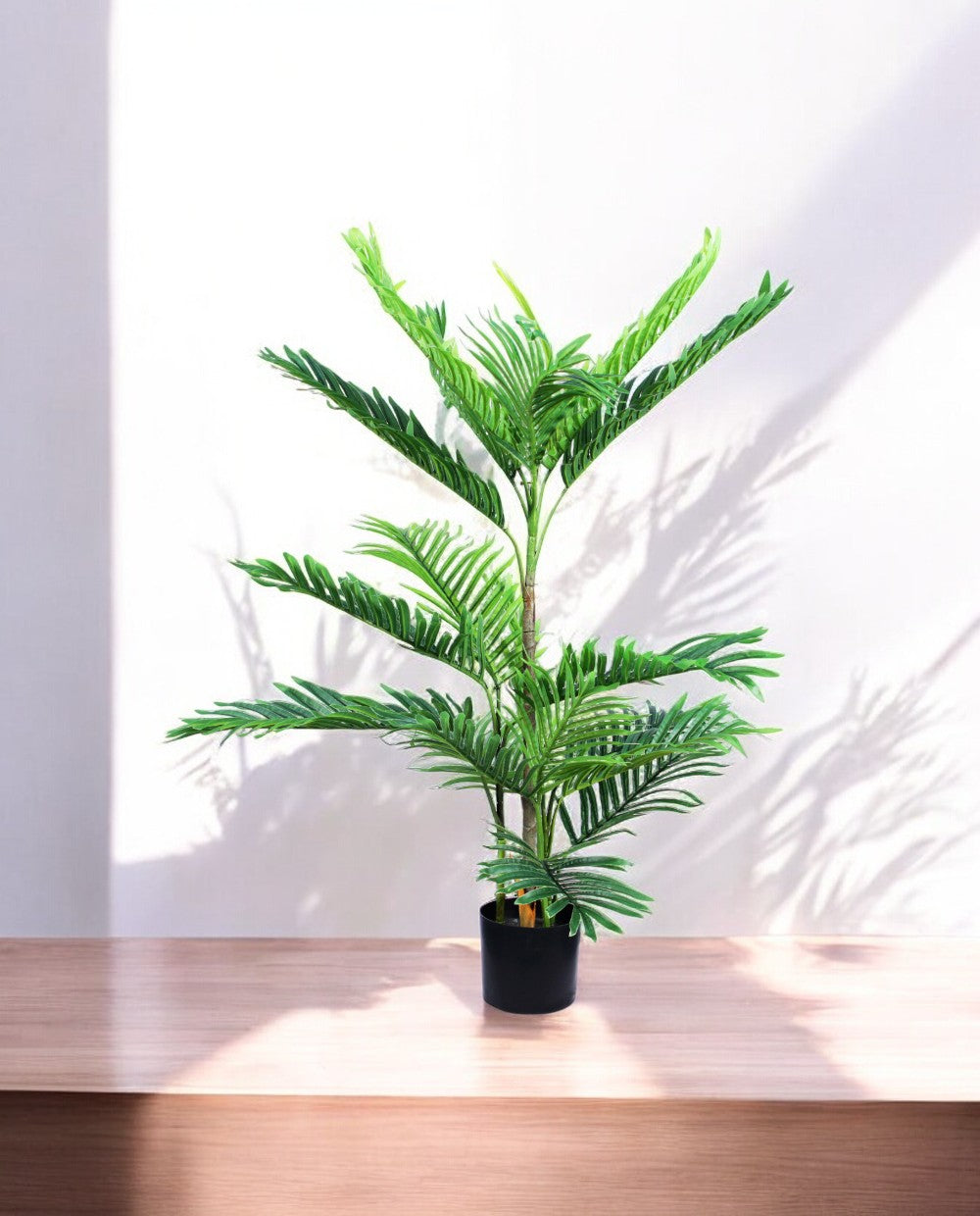 ARECA PALM 90cm AR90(c)