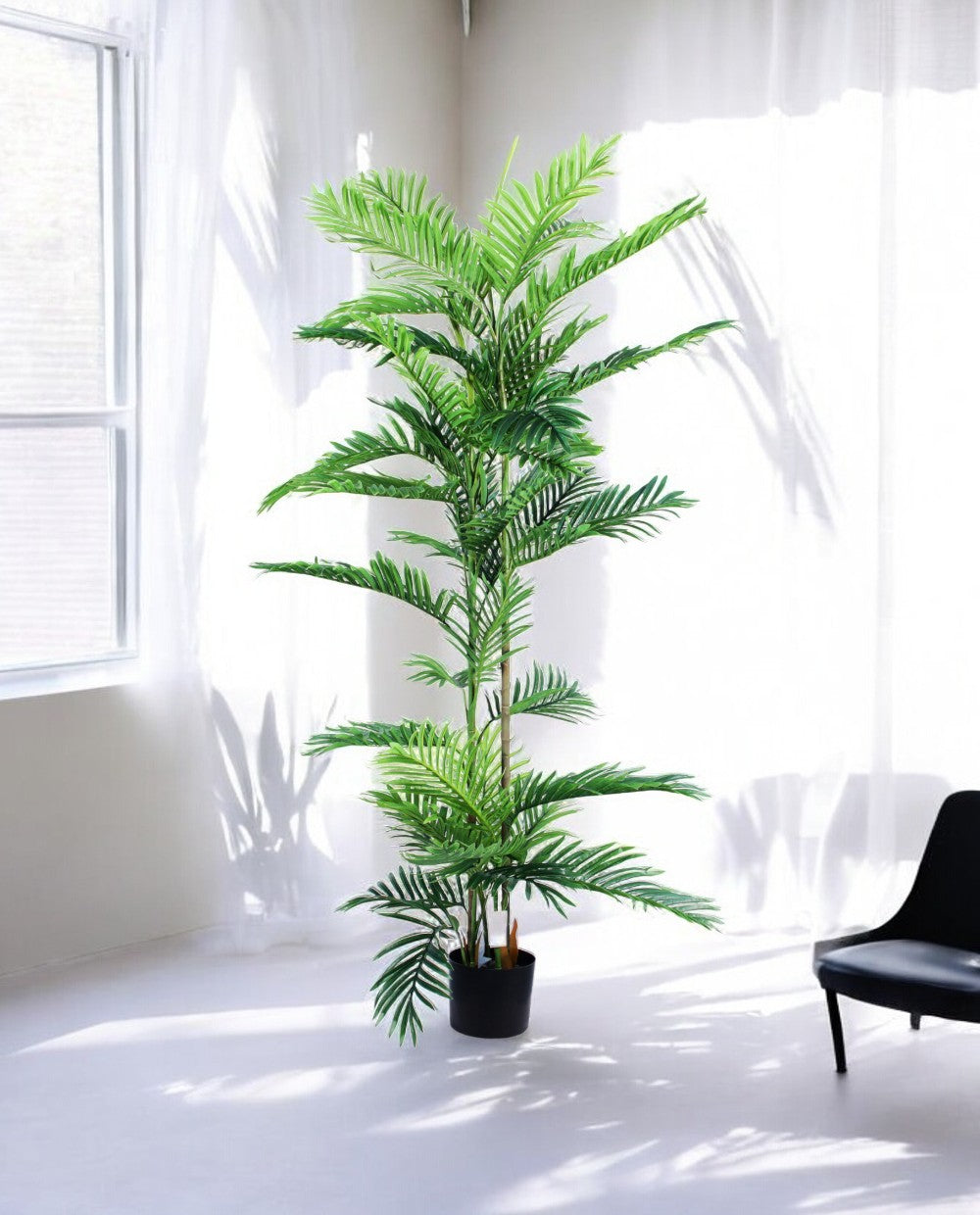 ARECA PALM 150cm AR150(c) (3)