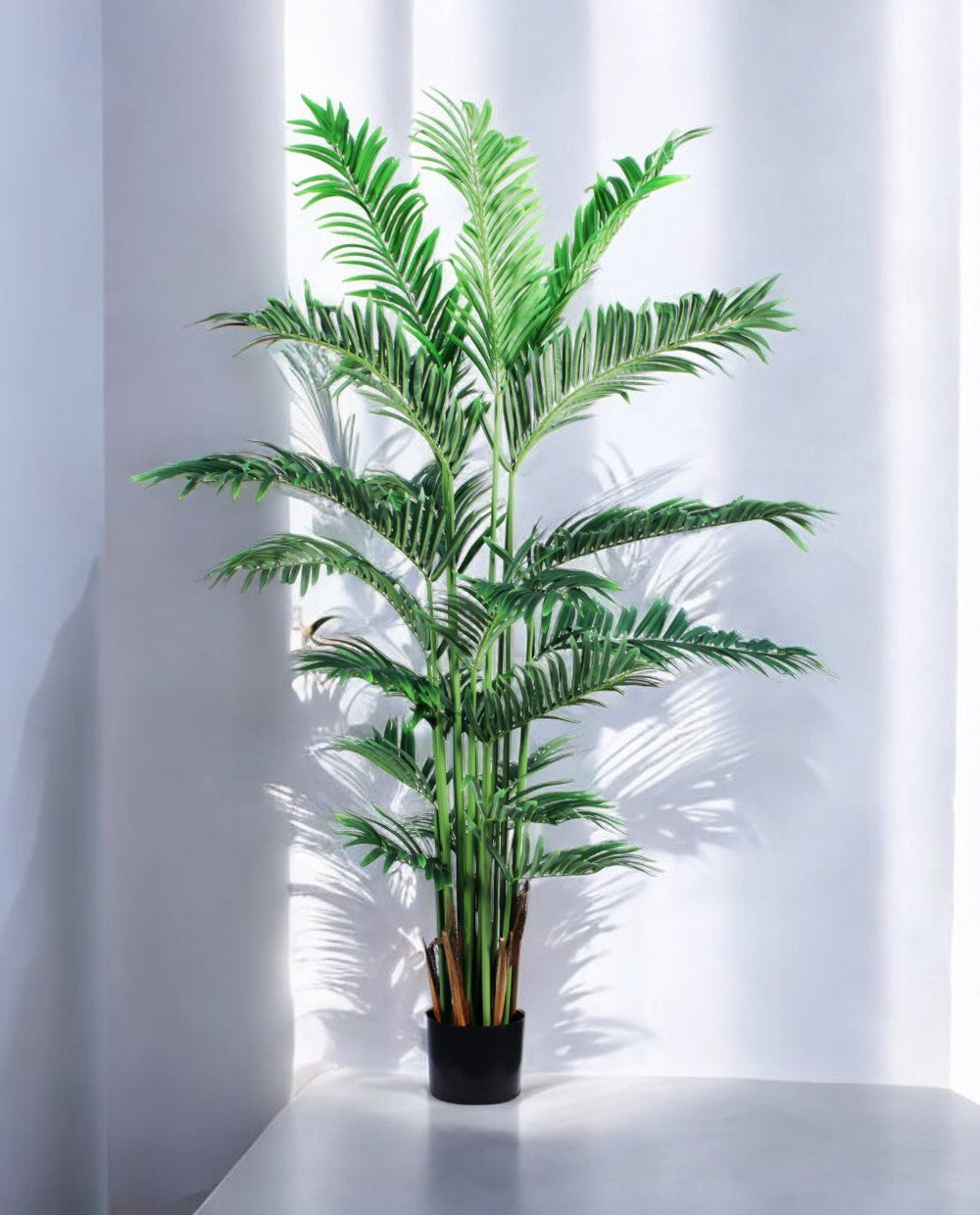 VIETNAM PALM 150cm 18075(a)