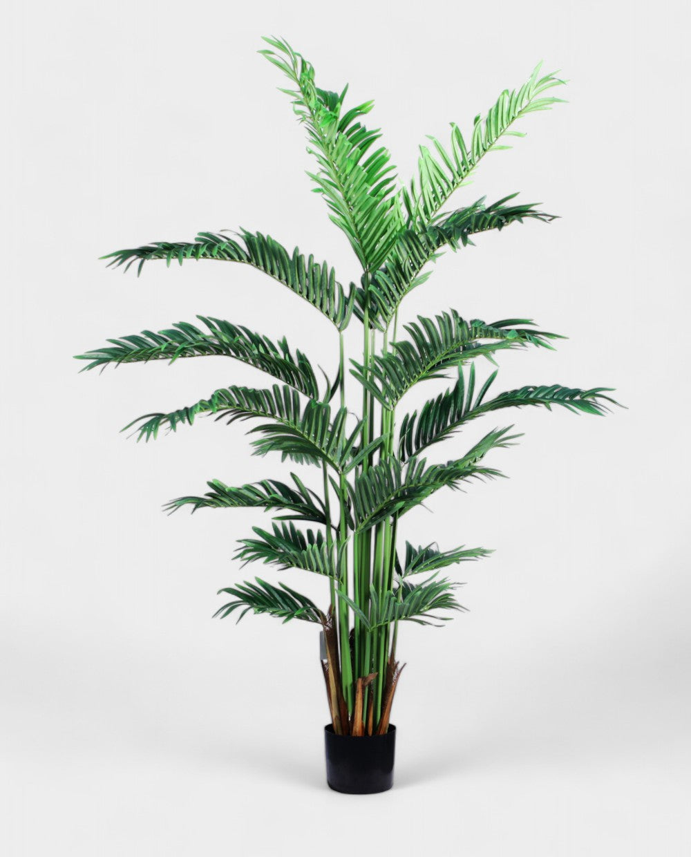 VIETNAM PALM 150cm 18075(b) (3)