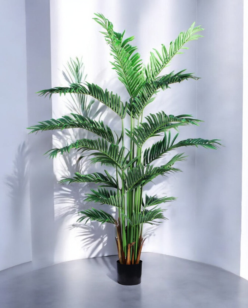 VIETNAM PALM 150cm 18075(b)