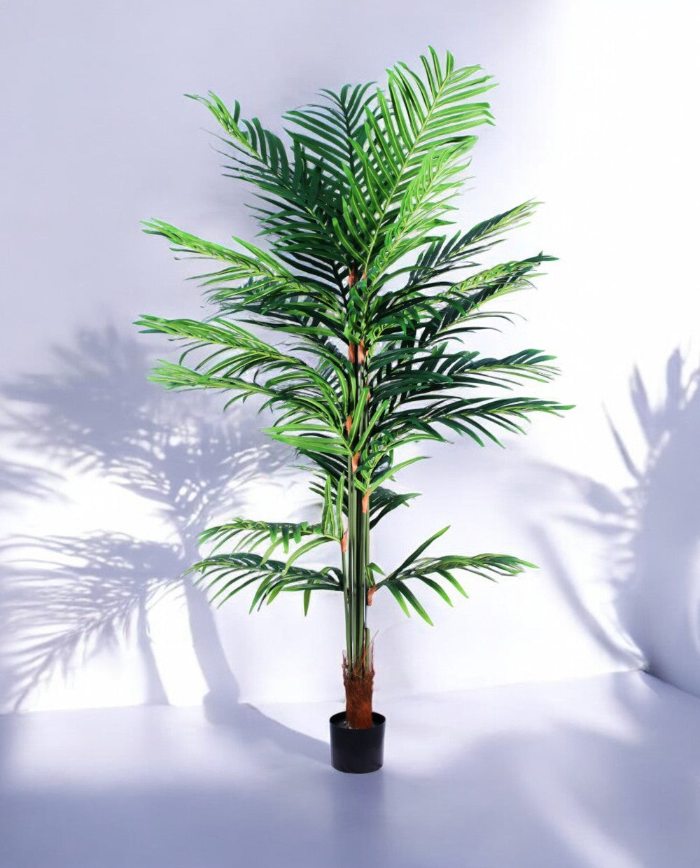 CB PALM 180cm 19363(a) (2)