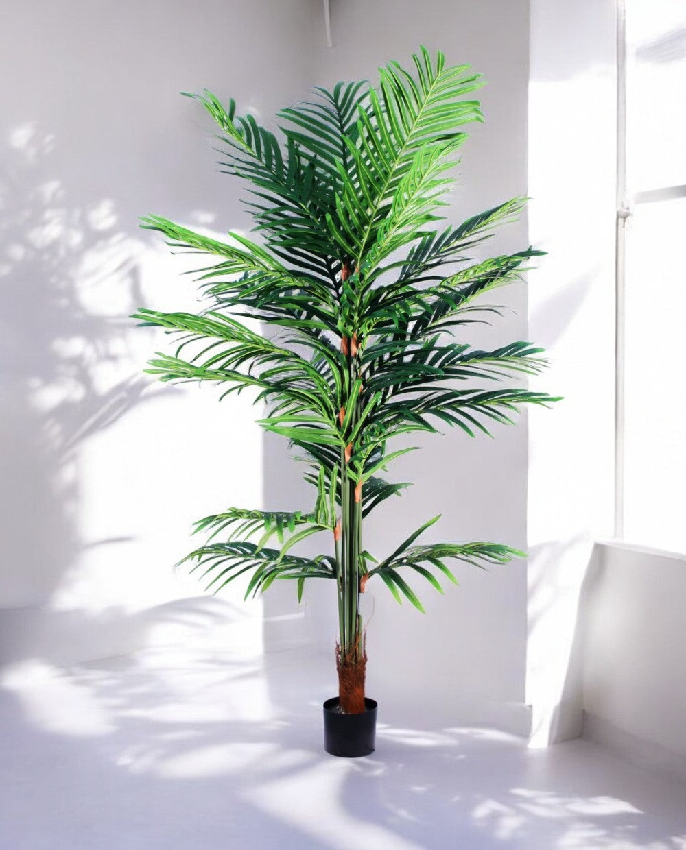 CB PALM 180cm 19363(a) (3)