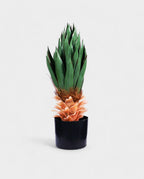 YUCCA BUSH 65cm 19575(a) (3)