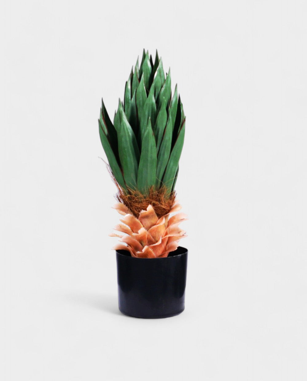 YUCCA BUSH 65cm 19575(a) (3)