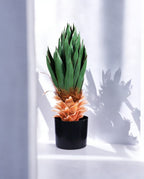 YUCCA BUSH 65cm 19575(a)