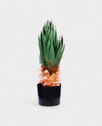 YUCCA BUSH 65cm 19575(b) (3)
