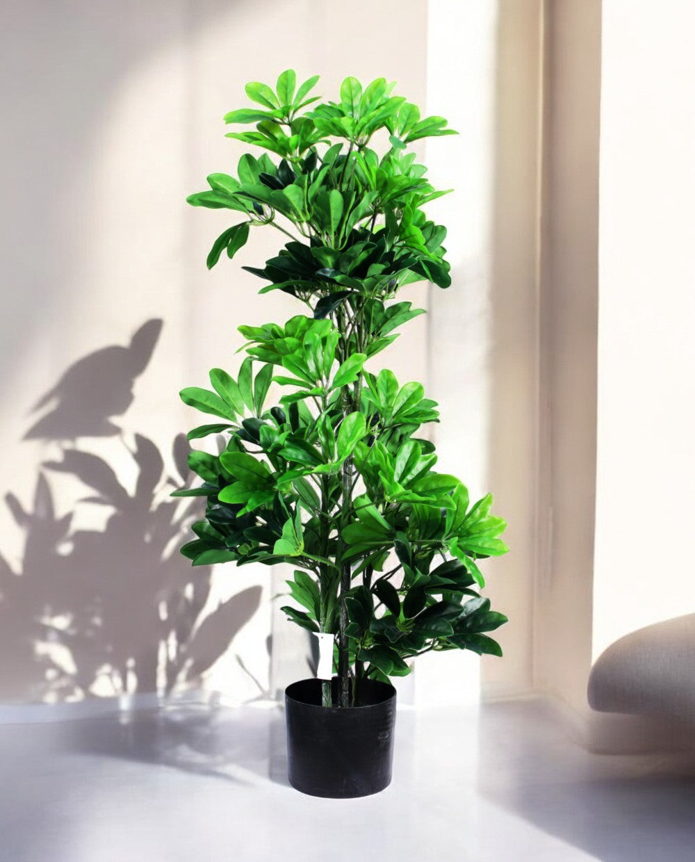 SCHEFFELERA 100cm 18072(b) (2)