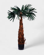 MOUNTAIN PALM 130cm 19353(a) (3)