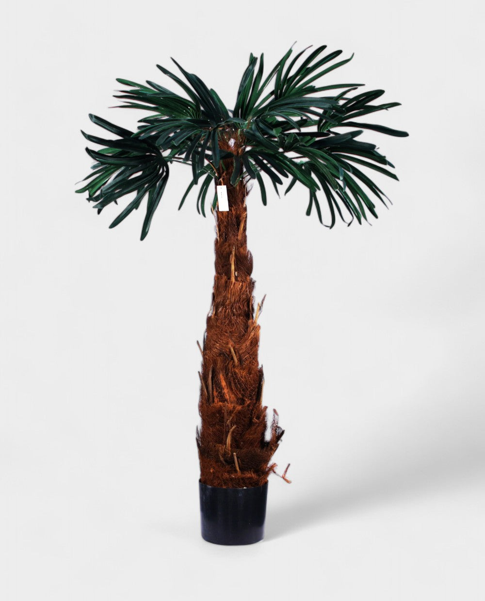 MOUNTAIN PALM 130cm 19353(a) (3)