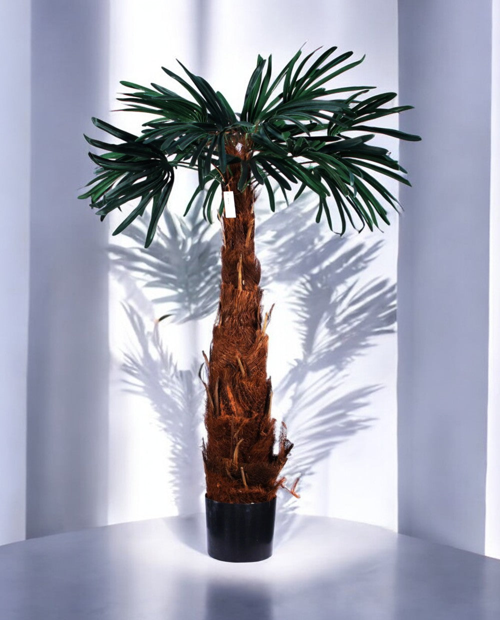 MOUNTAIN PALM 130cm 19353(a)