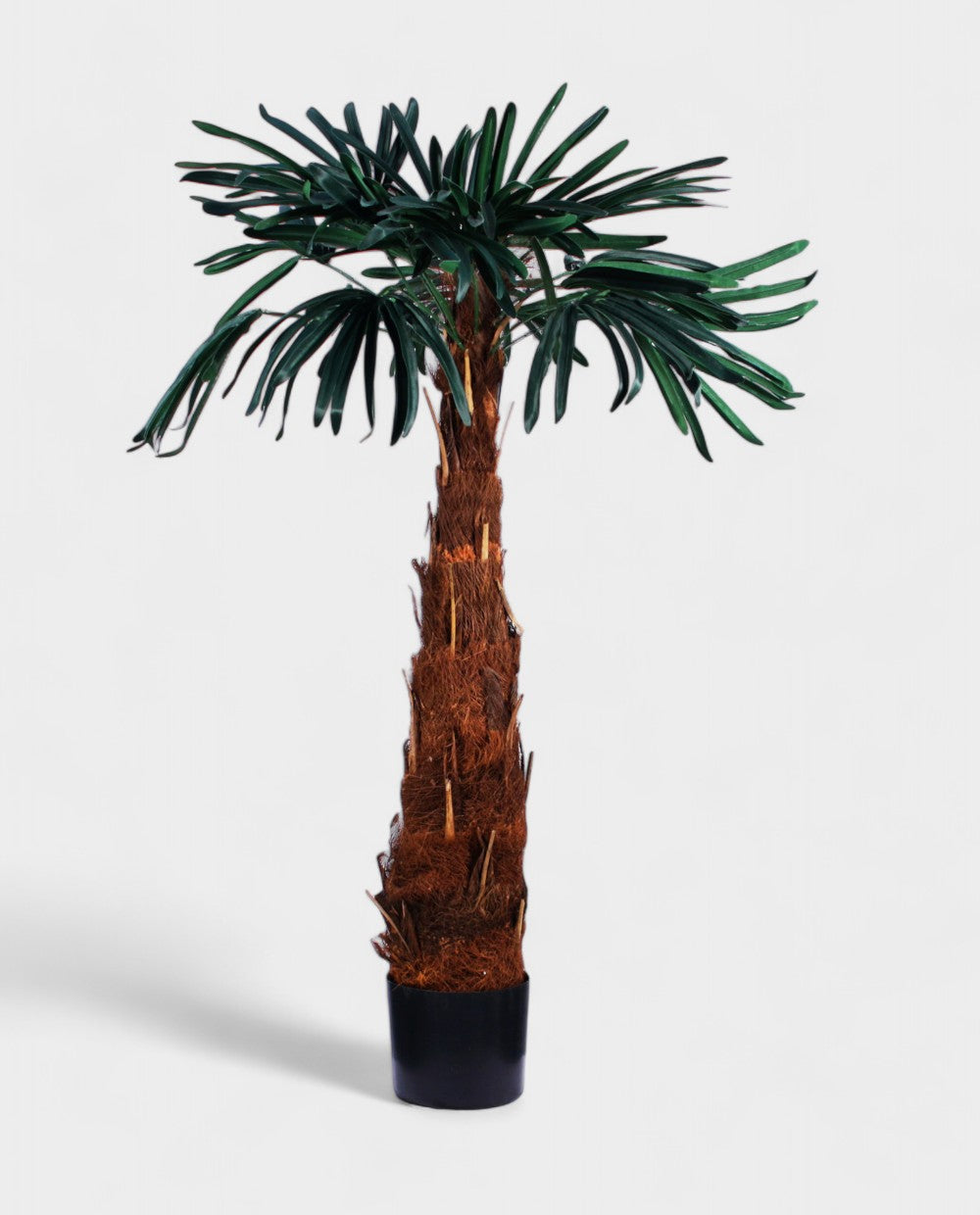 MOUNTAIN PALM 130cm 19353(b) (3)