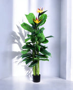 STRELITZIA 150cm 18074(a)