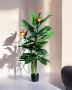 STRELITZIA 150cm 18074(b) (2)