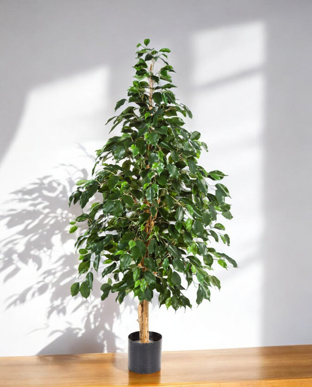 8FW32205N Natural Exotica Tree 150 (3)